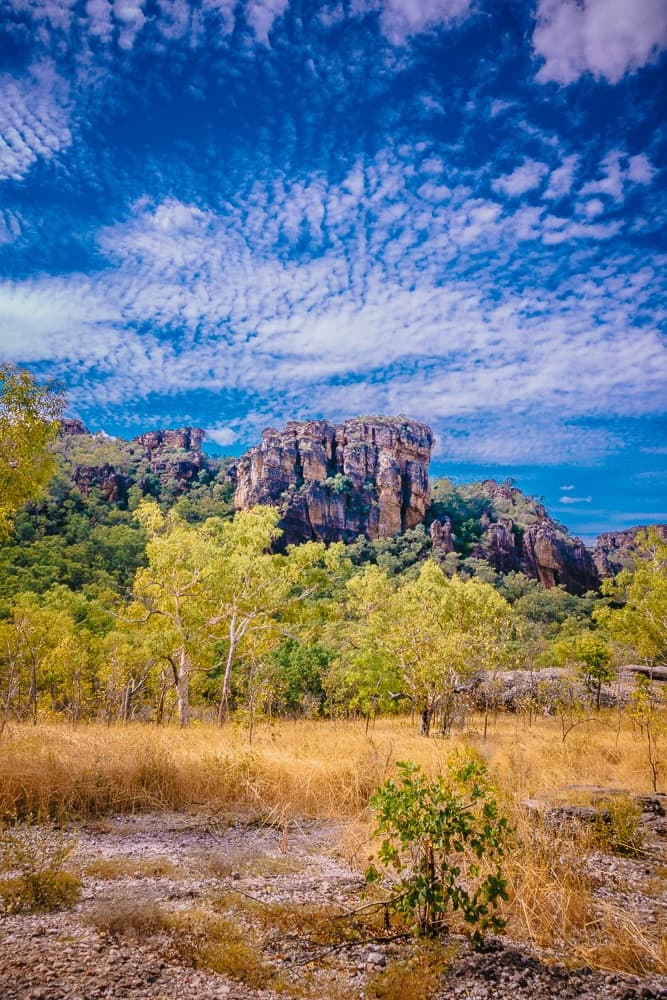 kakadu and litchfield