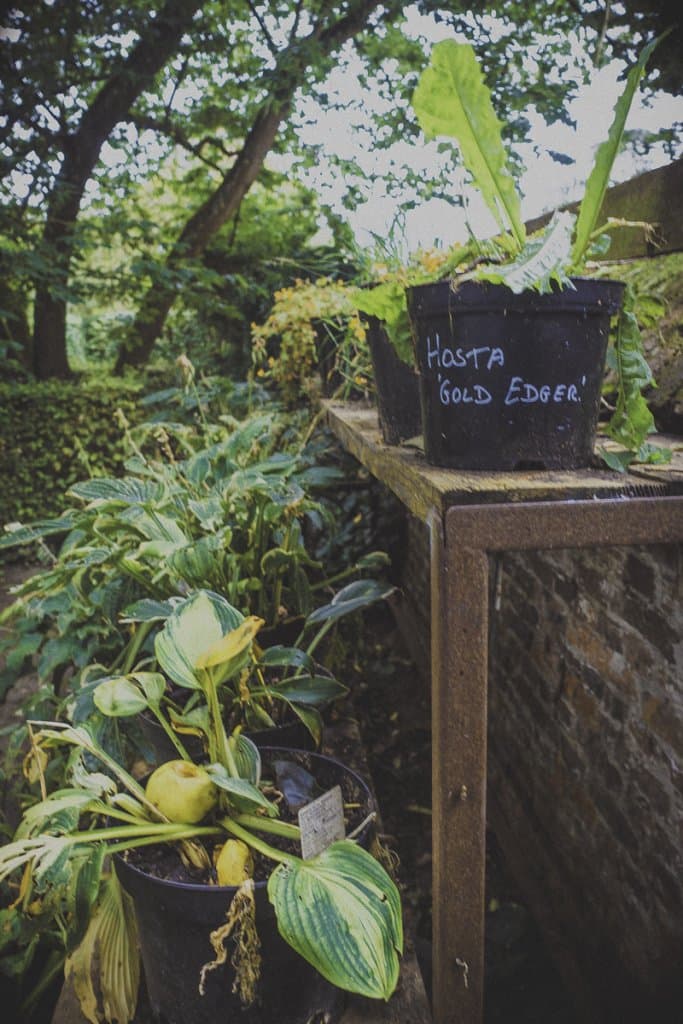 Op deze Belgische reisblog vind je vele foto's.