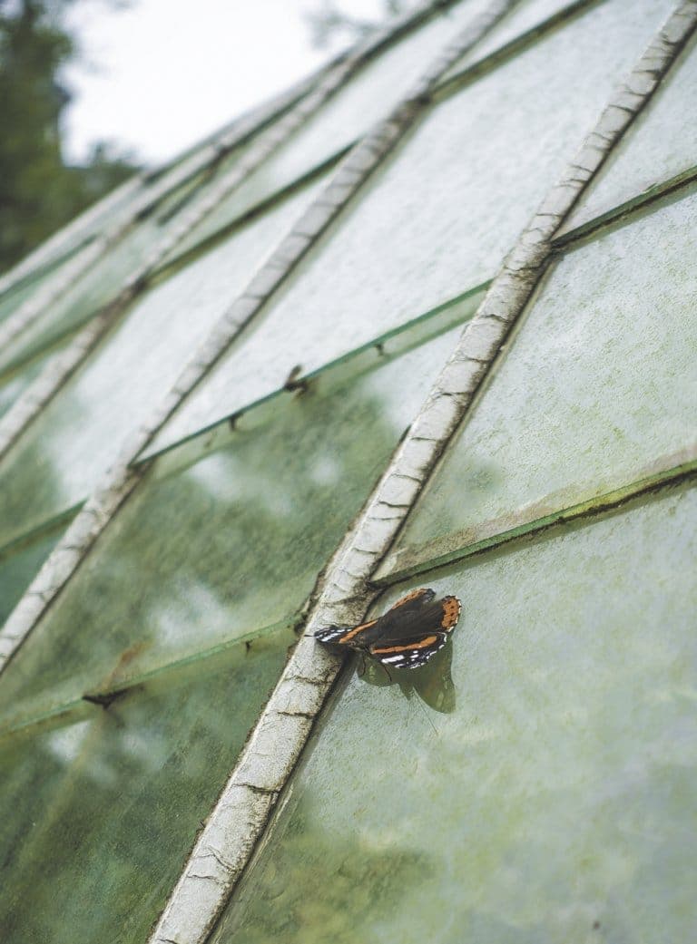 Wandelen in Hoegaarden