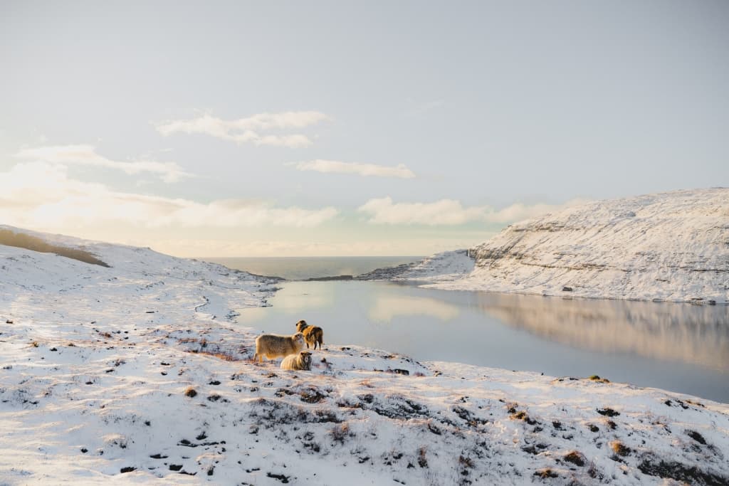 reis foto Faroer eilanden