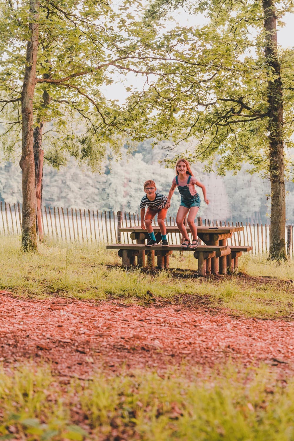 kamperen in boomhutten