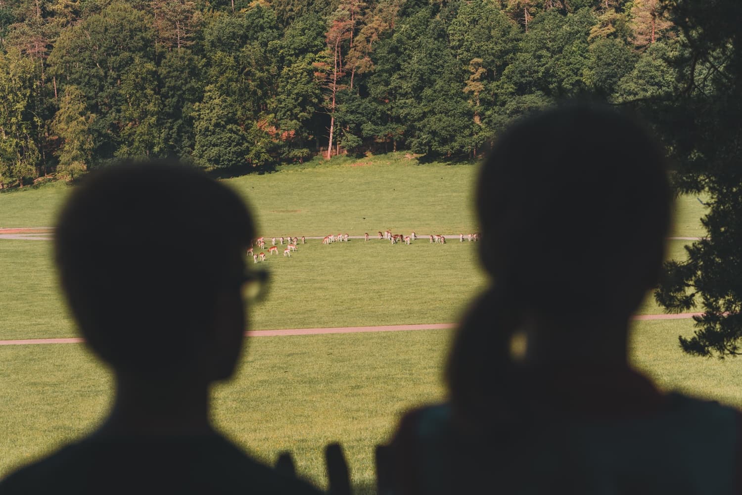 slapen in de ardennen