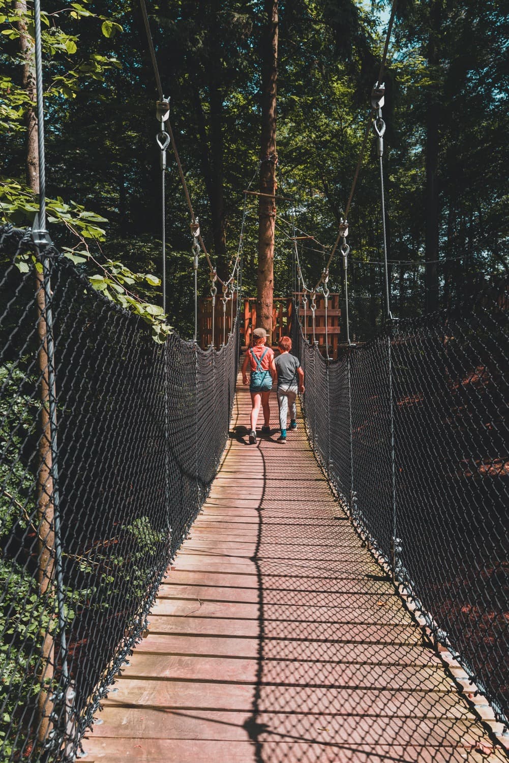 kamperen tussen wilde dieren
