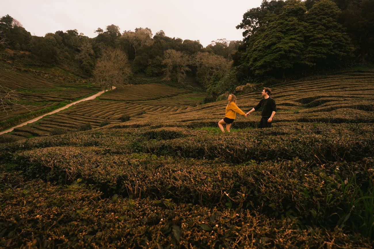 De beste reisverzekering voor een wereldreis in 2026